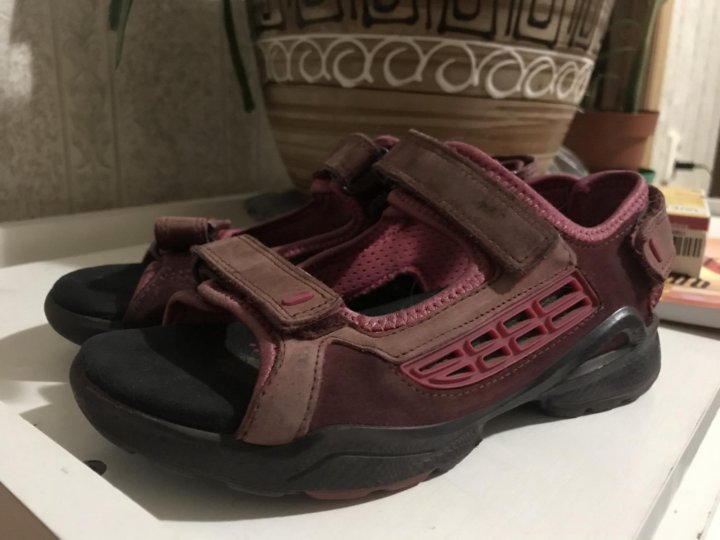 ecco 33