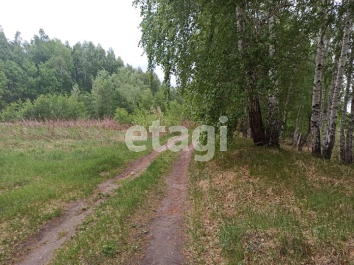 Купить Квартиру В Красной Гвоздике В Криводанова