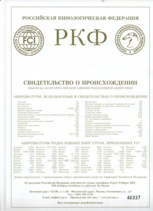 База родословных ркф