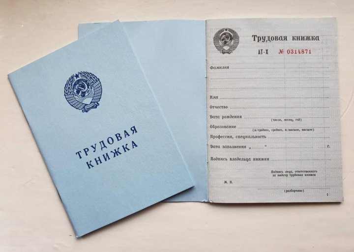 Трудовая книжка 2023