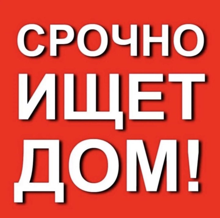 Картинка в добрые руки