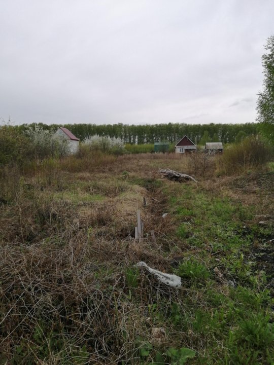 Купить Землю В Заре Пенза