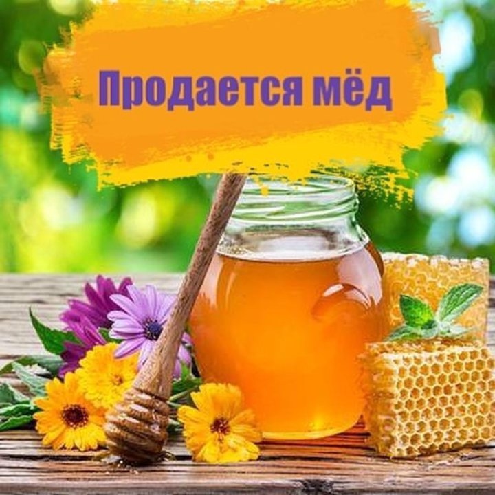 Продаю мед картинка