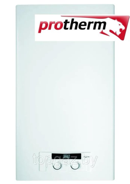 Котел protherm lynx 24. Котел газовый Protherm Рысь. Котел Protherm Рысь HK 24. Протерм рыс газовый котёл 28.