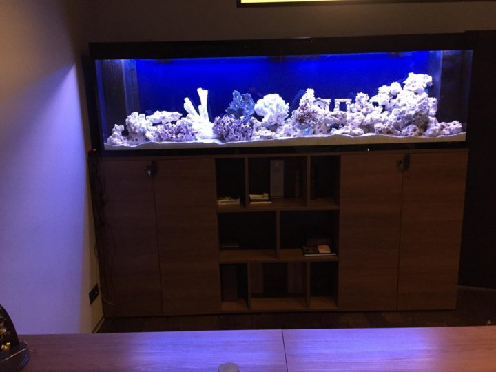 аквариумная барахолка