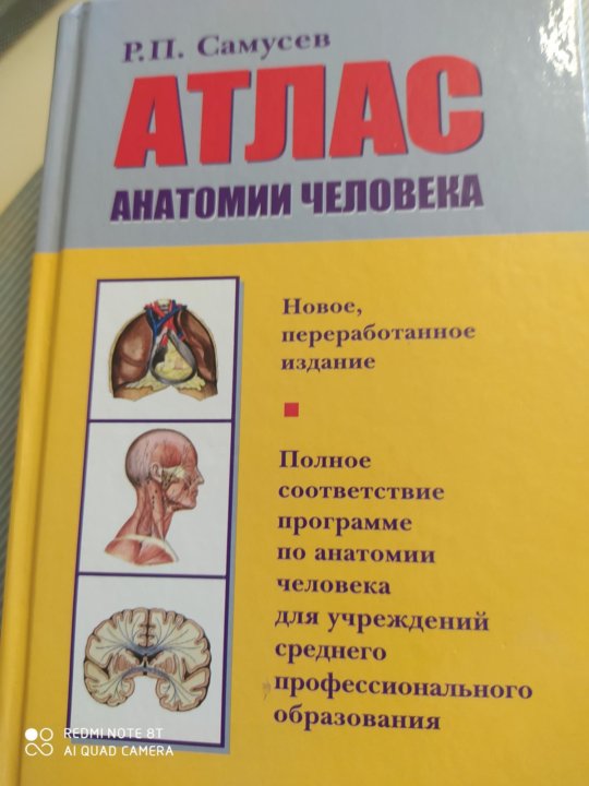Атлас анатомии человека самусев липченко. Атлас анатомия человека р. П самусев. Атлас анатомии человека самусев ткани. Атлас анатомии человека самусева р п.