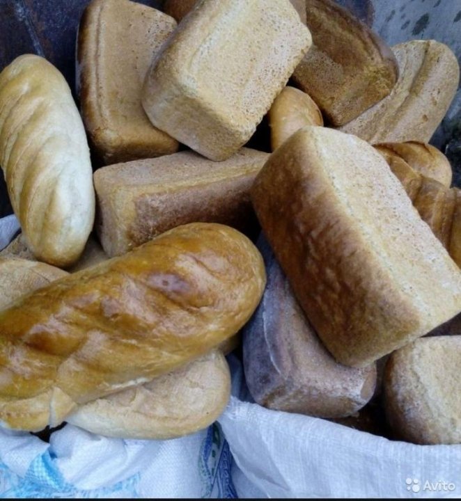 Купить Хлеб На Корм Животным Г Бирск