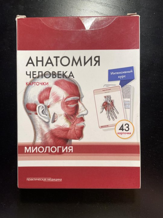 Общий курс анатомии