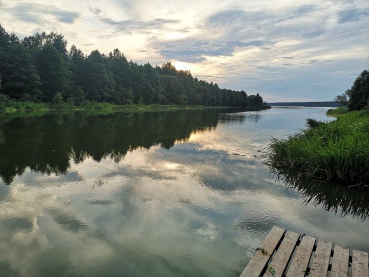 База отдыха елкино перепелкино