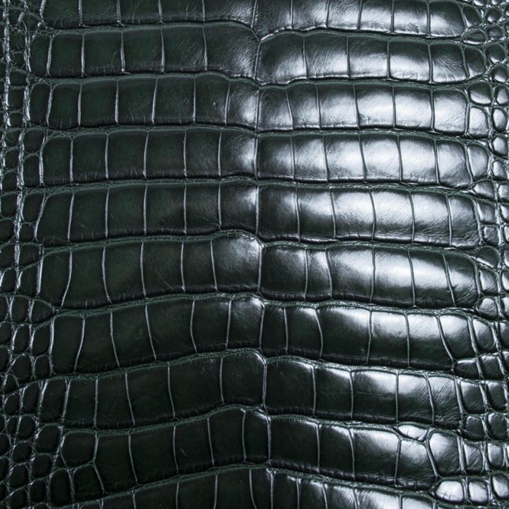 Кожа крокодила цвет. Кожа крокодил розовый. Кожа крокодила цвет. Кожа крокодила цвет. Синяя кожа крокодила.