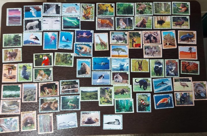 Живая планета 4. Живая планета 4. Живая планета 4d. Живая планета 4d наклейки. Коллекция наклеек.