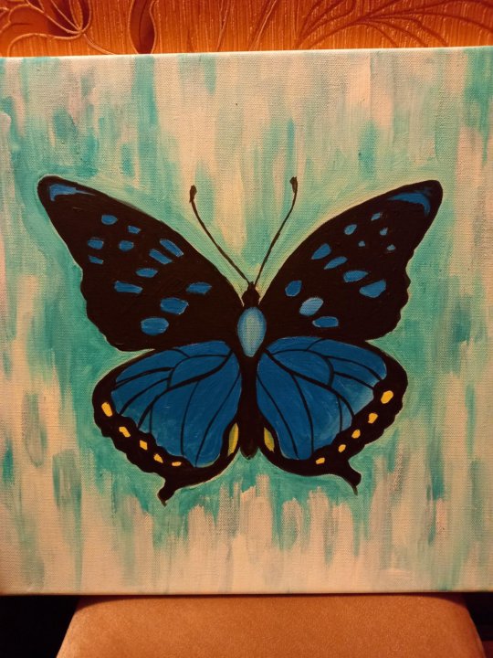 Butterfly b
