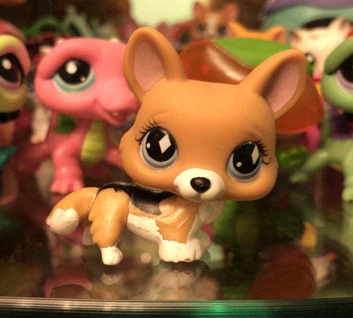 Игрушки Литл Пет Шоп купить, игровые наборы Littlest Pet Shop (LPS)