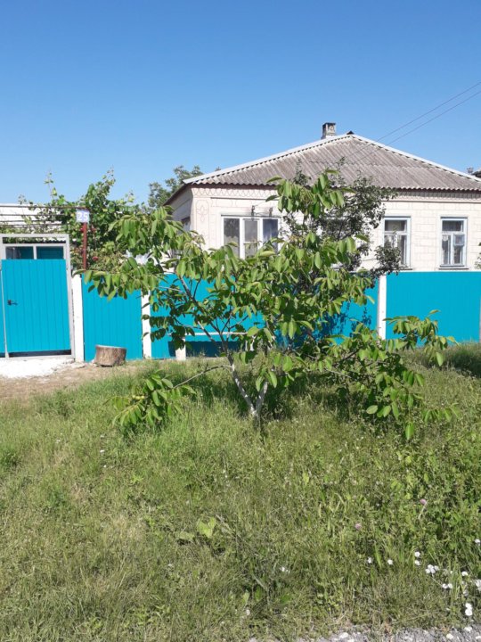 черноморский хутор. все жители краснодарского края. черноморский хутор. черноморский хутор. хутор черноморский крымский район.