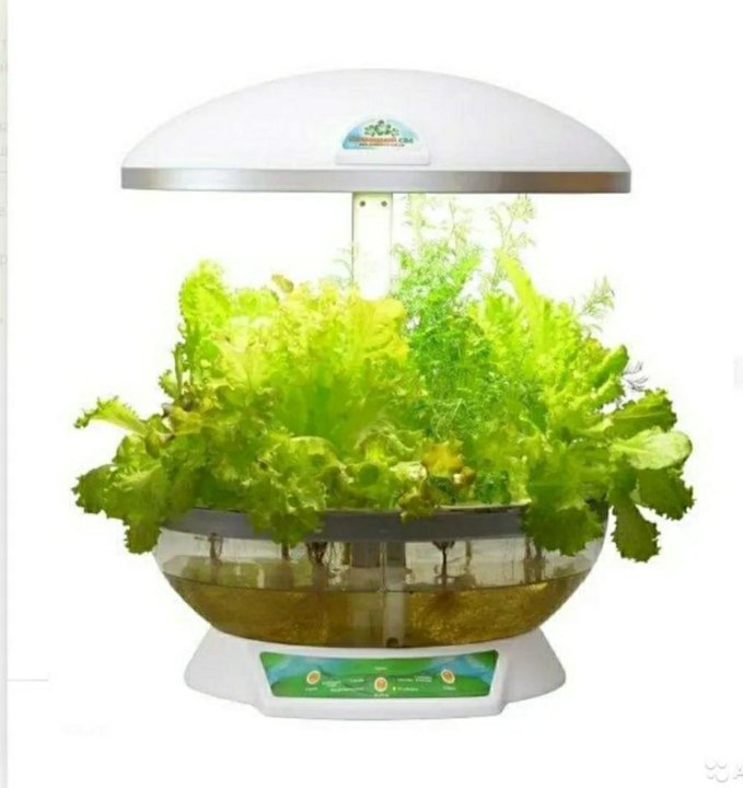 Установка Гидропонная 4 5 Ярусов Купить