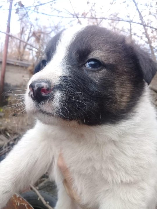 3 рїрѕсђрѕсѓрμрѕрѕрє рџђ