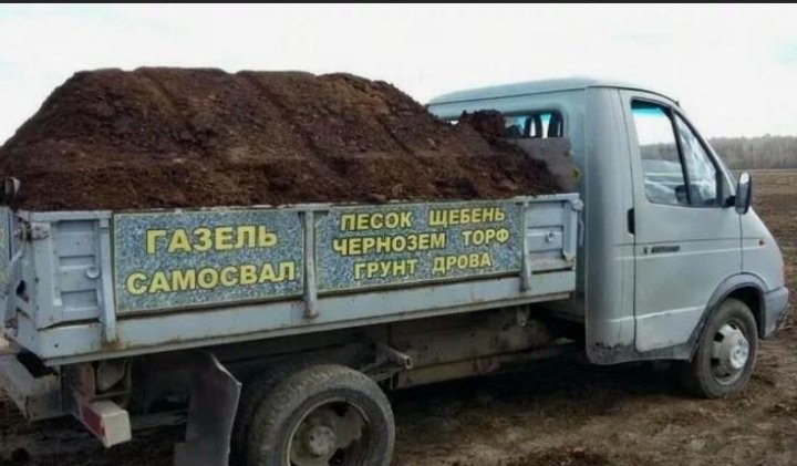 Газель с перегноем фото