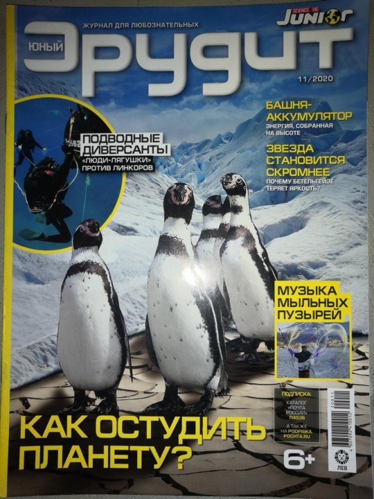 Игра юный эрудит