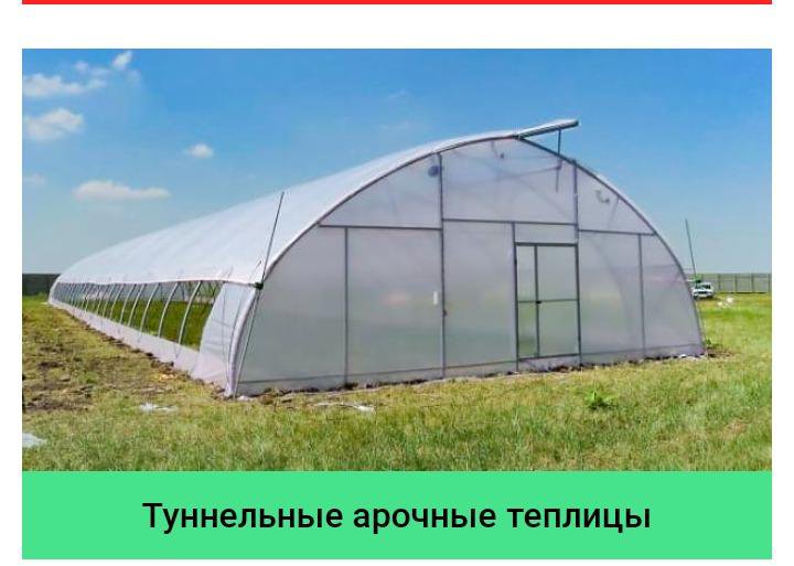 Промышленные Теплицы Поликарбоната Купить