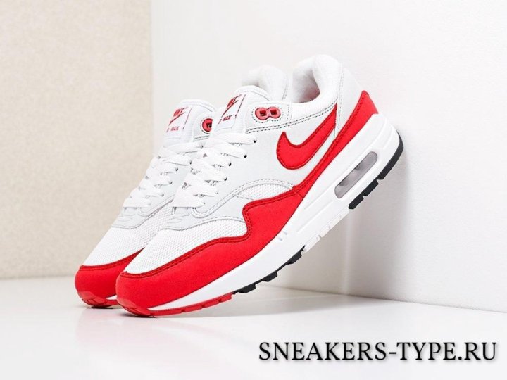 Кроссовки Nike Air Max 1 Anniversary 