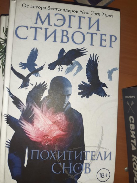 Похитители снов мэгги стивотер читать. "похитители снов". Стивотер воронята похитители снов. Похититель снов оно история. Воронята похитители снов.
