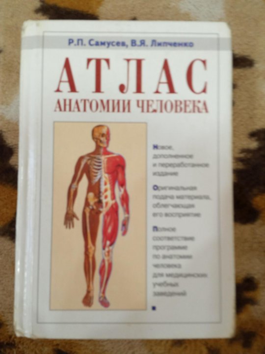 Анатомия липченко самусев. Самусев анатомия человека. Большой атлас анатомии человека Самусев.