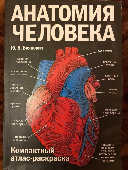 Какие книги по анатомии