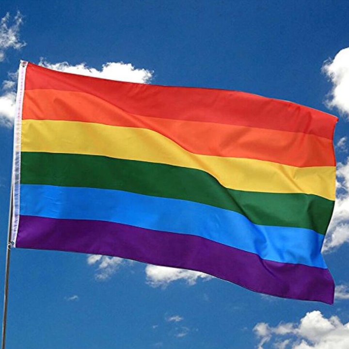Flag gay pic pride