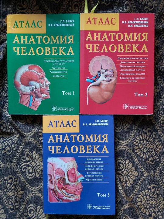 Атлас анатомии человека билич г л. Атлас анатомии Билич том 2. Билич Крыжановский анатомия человека атлас том 2. Анатомия человека Билич Крыжановский. Атлас анатомии человека Билич 3 том.