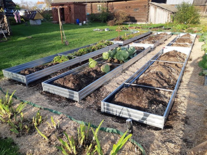 12 грядок. Грядка дпк holzhof 3х1х0,3 м. Высокие грядки на даче. Высокие грядки. Французский огород.