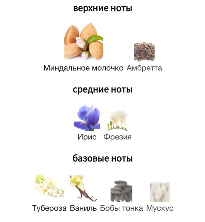 ирис миндальное молочко и ваниль туалетная вода. Aurum духи. ноты древесного аромата. лучшие ароматы с нотой мёда бюджет. базовые ноты ваниль бобы тонка.