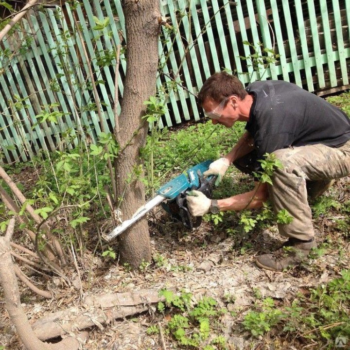 Как избавиться от кустов на участке. Кусты как избавиться. Крыжовниковая тля. Корчевание кустов на участке. Галловая тля смородины.