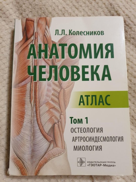 Какие книги по анатомии. Анатомия учебник. Учебник антомтт. Учебник анатомии для медицинских колледжей. Топографическая анатомия учебник.