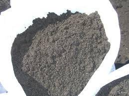 почва презентация. плодородная земля в израиле. плодородная земля предложение. горсть земли в руках. плодородная земля предложение.