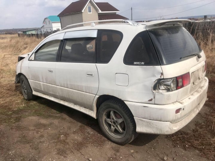 Купить Ипсум 10 В Иркутске