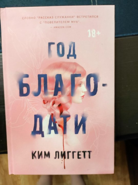 Год благодати книга