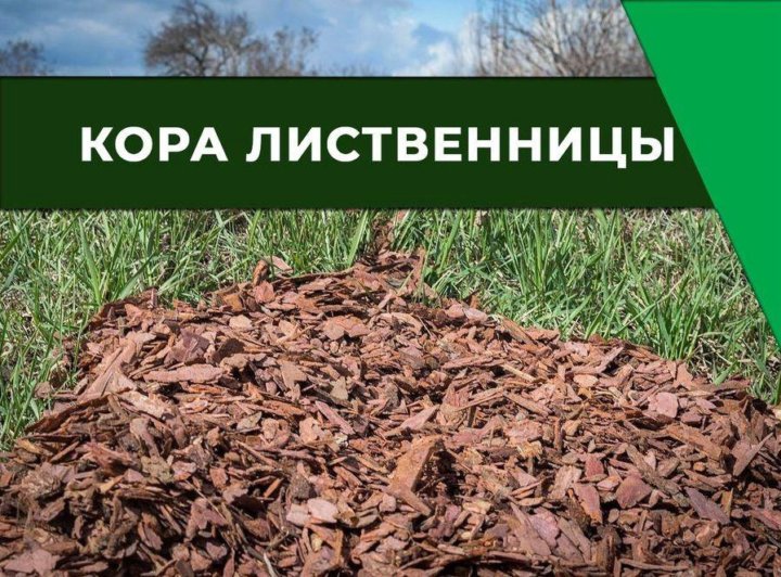 Кора Лиственницы Для Мульчирования Купить В Екатеринбурге