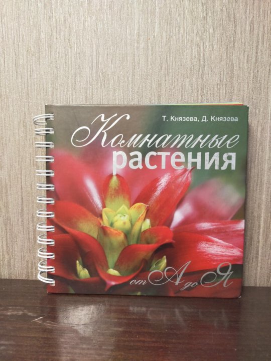 О л князевой я ты мы