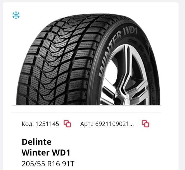 Delinte winter wd42 отзывы