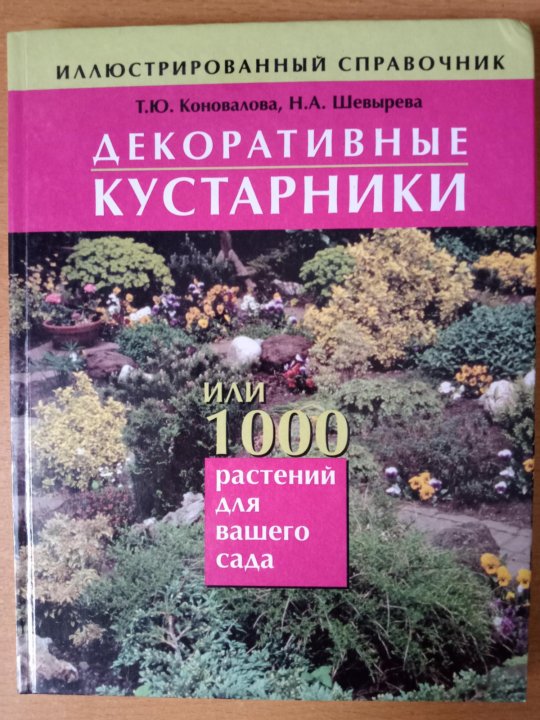 Рассказы деда природоведа. Названия кустарников для дошкольников. Демонстрационный материал кустарники. Книги кустов. Книга кустарники.