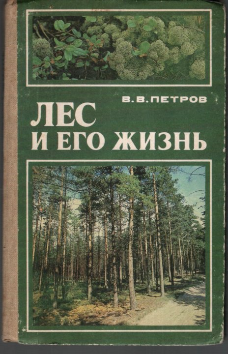 Библиотека книга лес