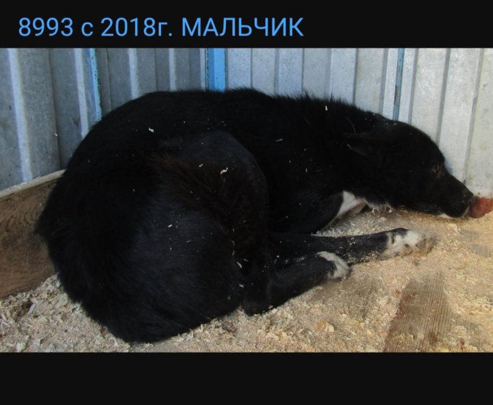 Мку леспаркхоз тюмень