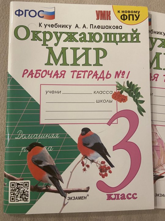 Тетради для учебников 3 класс. Плешакова окружающий мир 1 класс издательство экзамен. рабочая тетрадь окружающий мир 1 к учебнику плешакова. окружающий мир 3 класс к учебнику плешакова к новому фпу. умк окружающий мир 3 класс к учебнику плешакова.