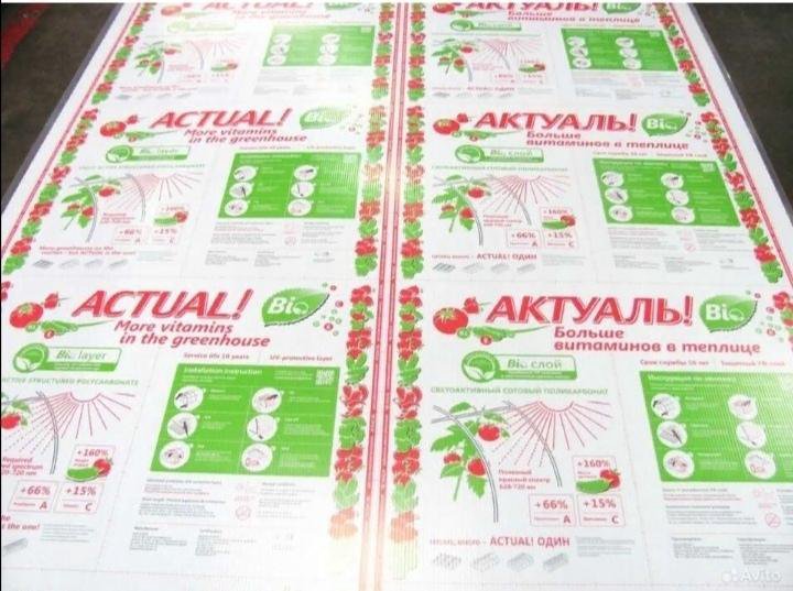 Поликарбонат Актуаль Био Купить В Казани