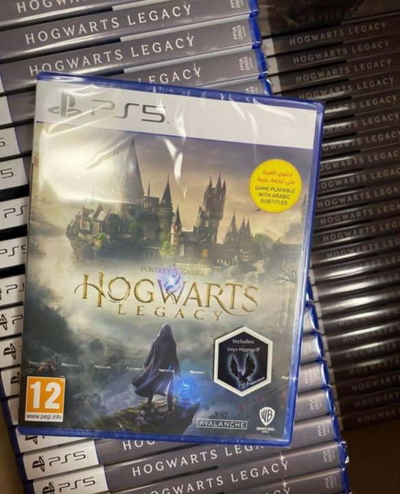 Купить Диск Hogwarts Legacy Xbox Series X