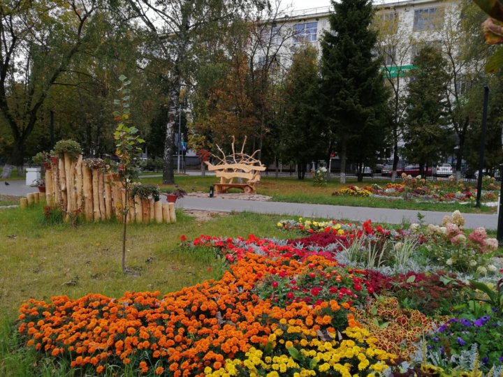 Цветы чехова московской области