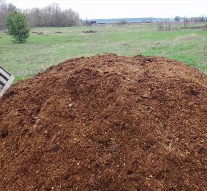 Навоз конский как удобрение для огорода. Конский навоз экстракт1л "биомастер". Конский навоз экстракт 3л органическое удобрение канистра. Перепревший навоз козий. Навоз конский как удобрение для огорода.