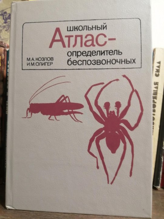 Беспозвоночные определитель. Школьный атлас определитель беспозвоночных. Школьный атлас.