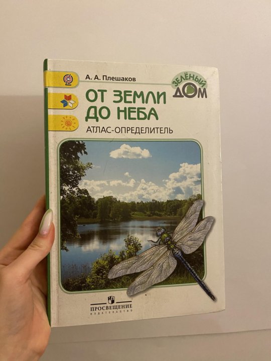 Плешаков от земли до неба 2009. Выросло дерево от земли до неба.