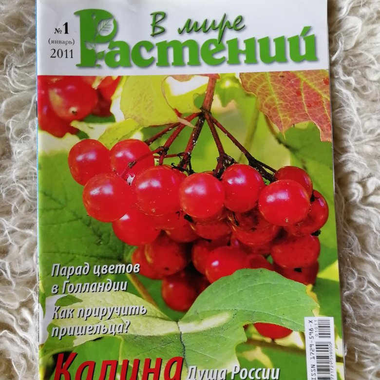 журнал цветок. цветочные журналы. гоша решил прочитать журнал про растения. хессайон все о розах. угловые узоры для оформления текста.